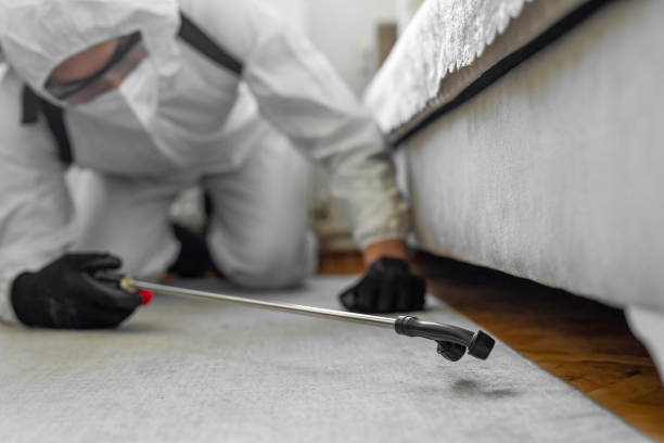 Professional Bed Bug Control technician working in Mayo, SC